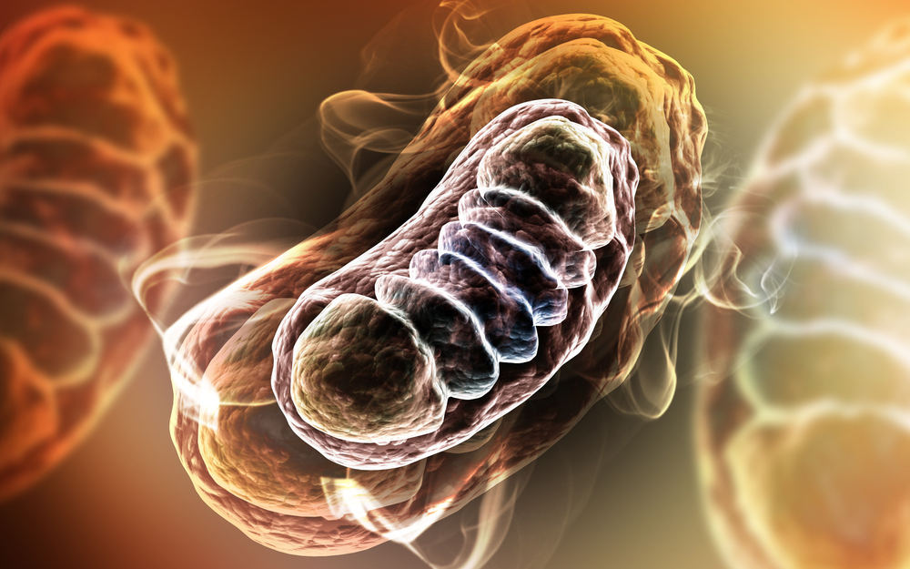 Toxins Crossing the Placental Barrier Can Lead To Mitochondrial Toxcicity, Diseases