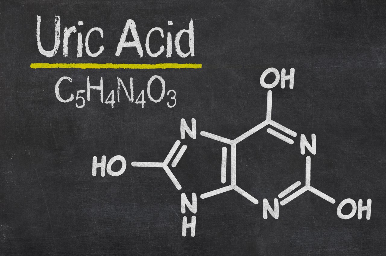 Uric Acid Predicts CKD Progression in Children