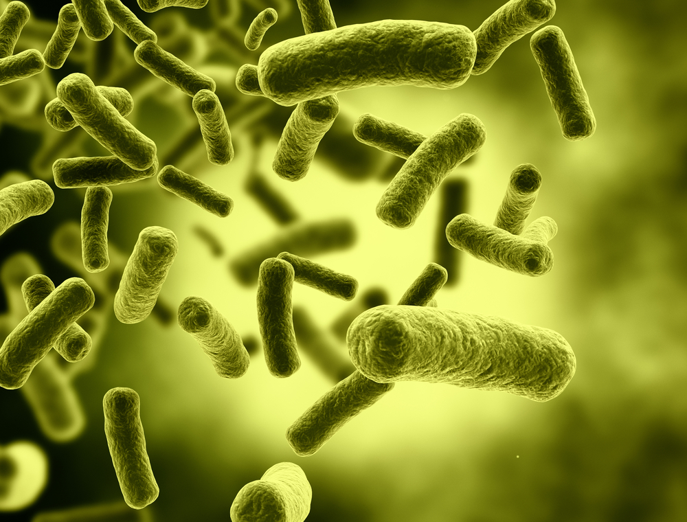 Metabolites Formed By Intestinal Microbiota Might Be Fatal In CKD Patients