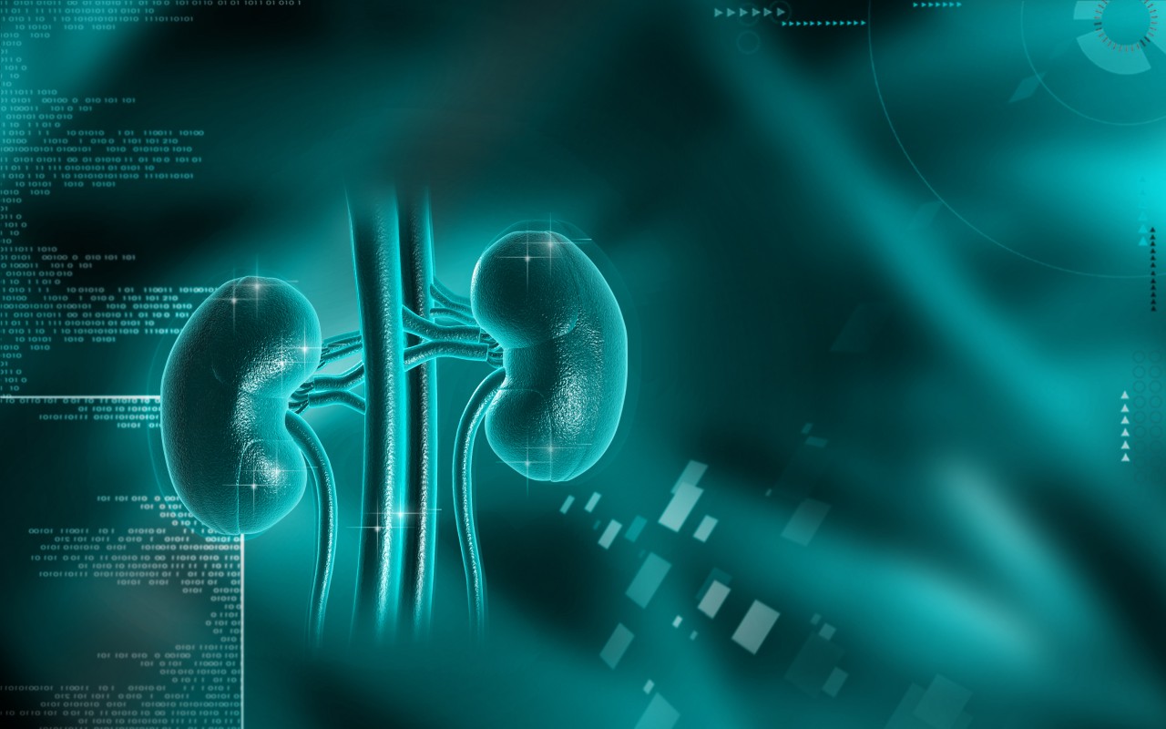 Chronic Kidney Disease Patients Show Race, Income Disparities in Use of e-Health Portals