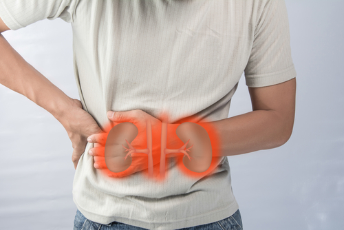 Urate-lowering Therapy Improves Kidney Function in CKD Patients, Study Shows