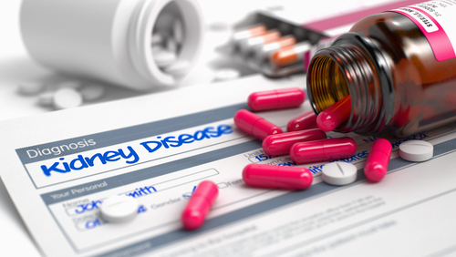 Specific Inhibitors Can Be Harmful in Kidney Disease Patients, Study Finds