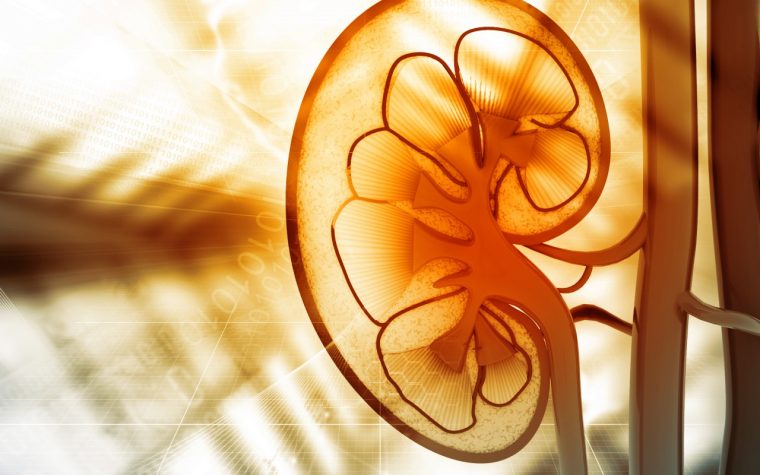 Report Highlights Decline in Kidney Disease Hospitalization and Mortality Rates